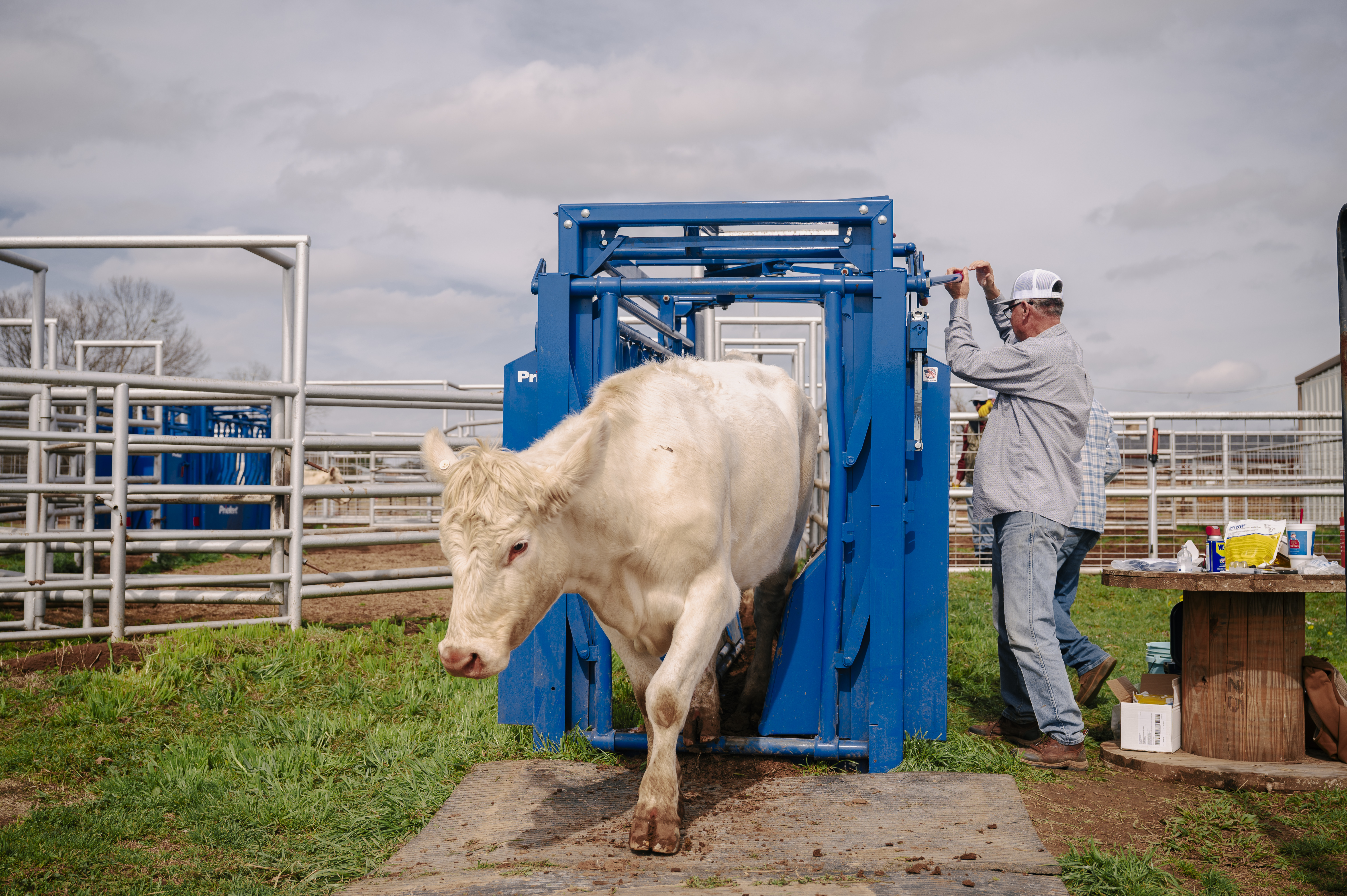 SqueezeChute SC25 0326 Stretcher 0718.jpg